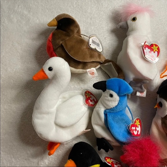 Beanie Baby Bird Lot - Picture 2 of 8